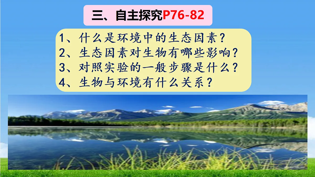 17397127第5页