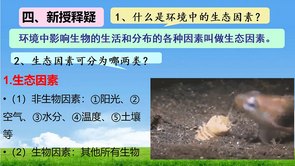 17397127第6页