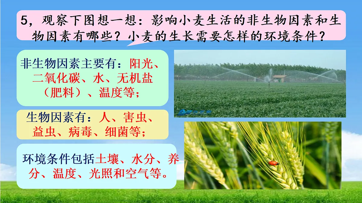 17397127第7页