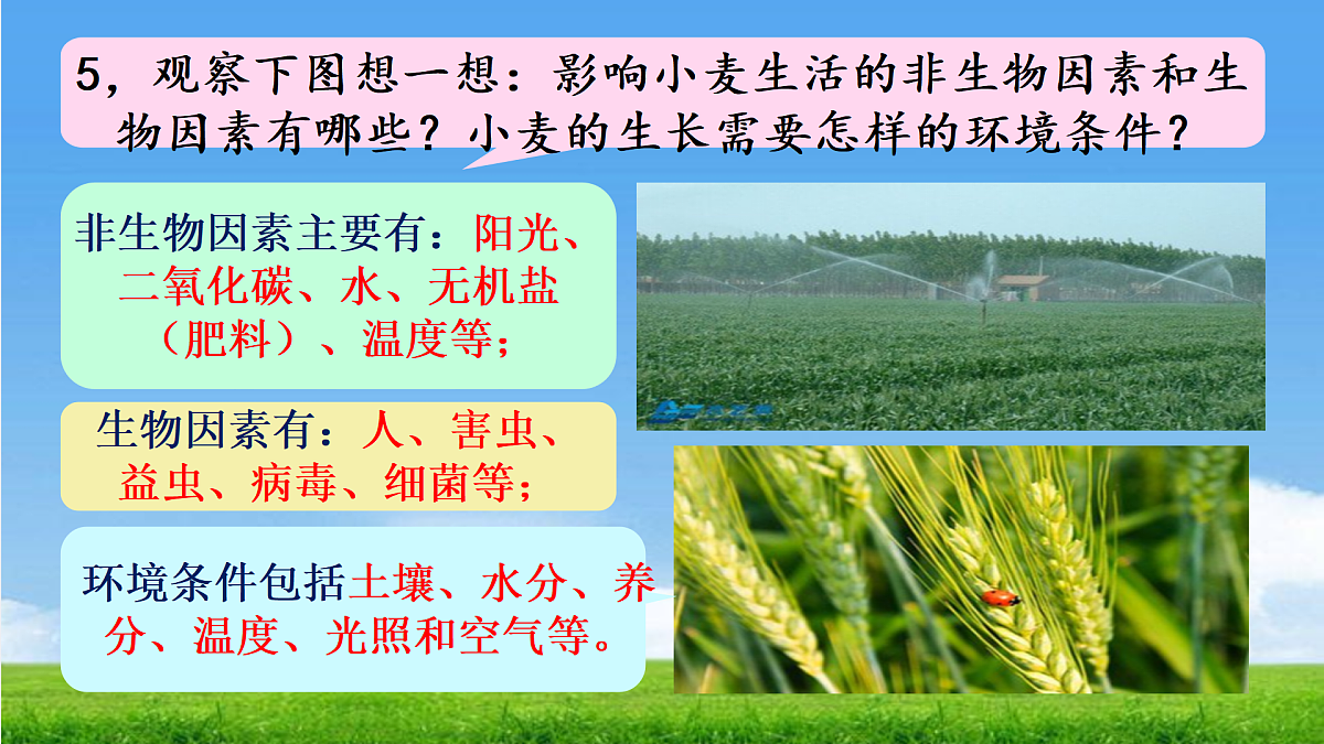 17397127第7页