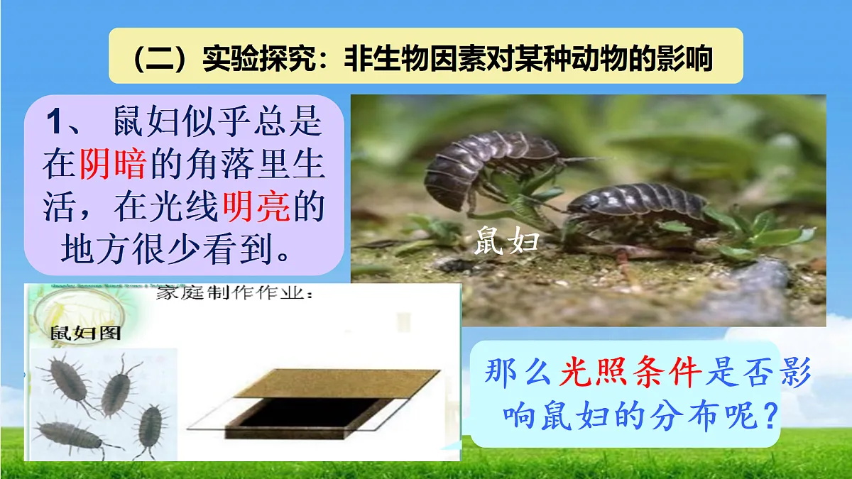 17397127第8页