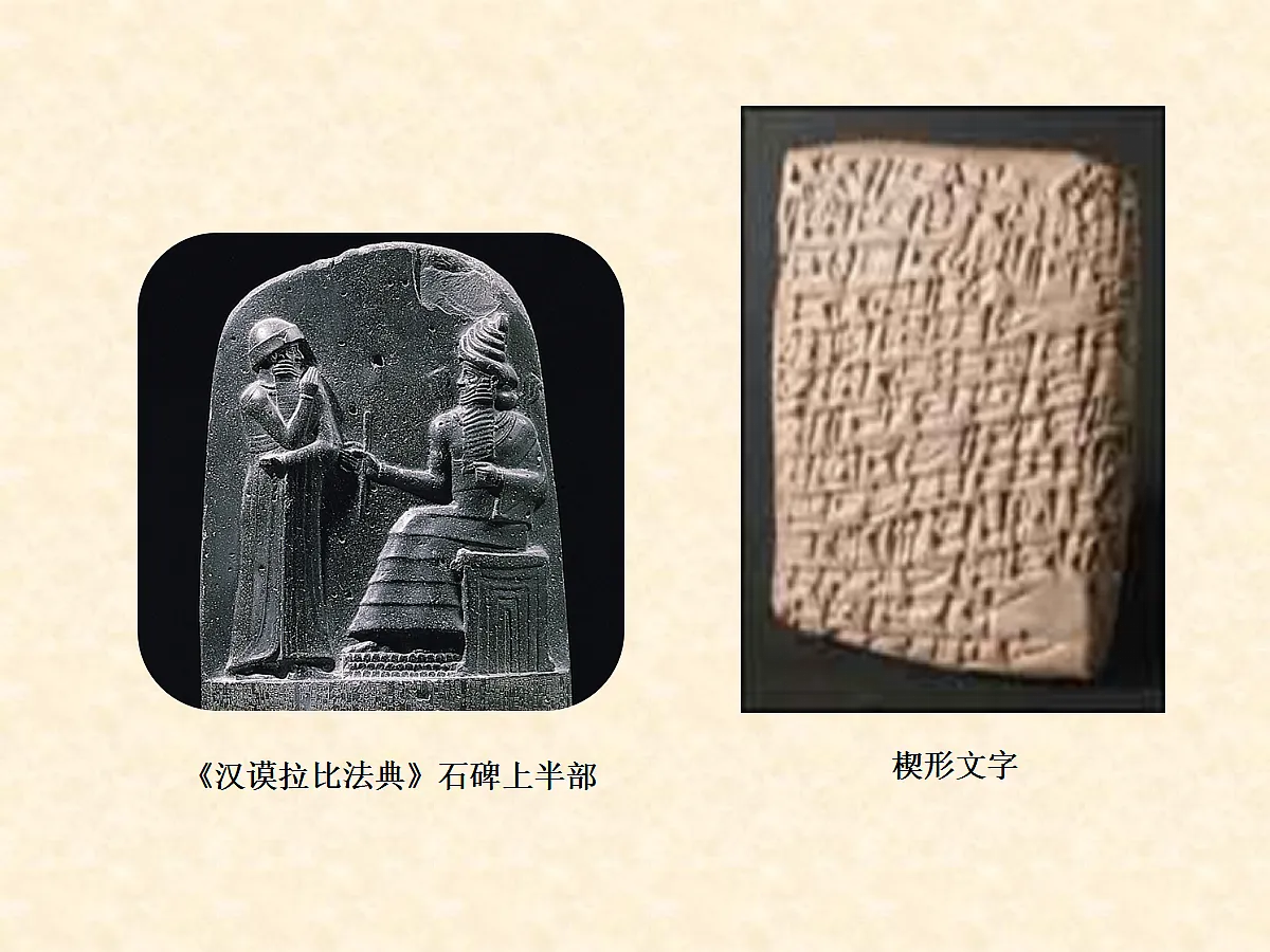 17397194第7页
