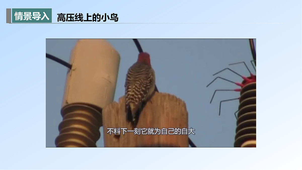 17397268第3页