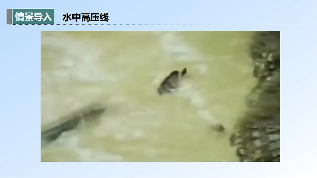 17397301第3页