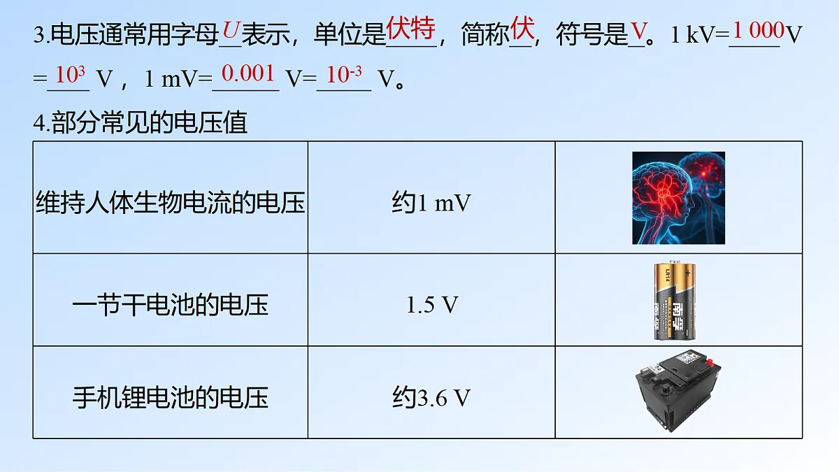 17397301第5页
