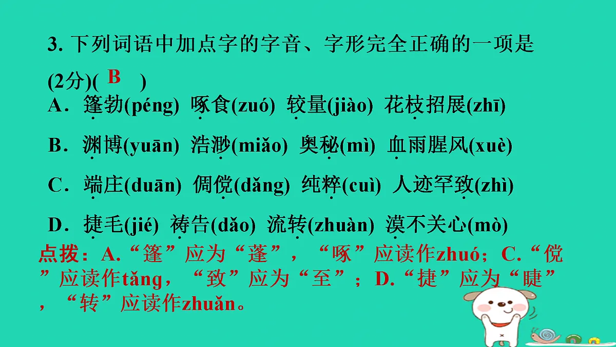 17397635第5页