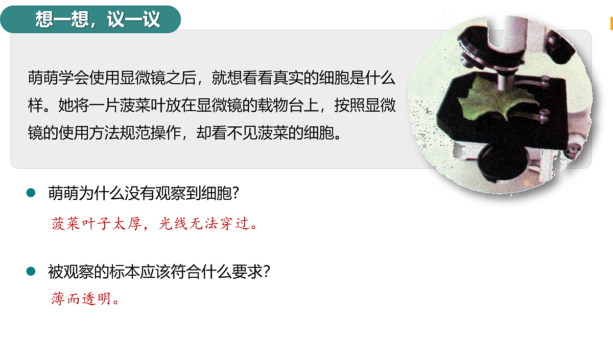 17397696第3页
