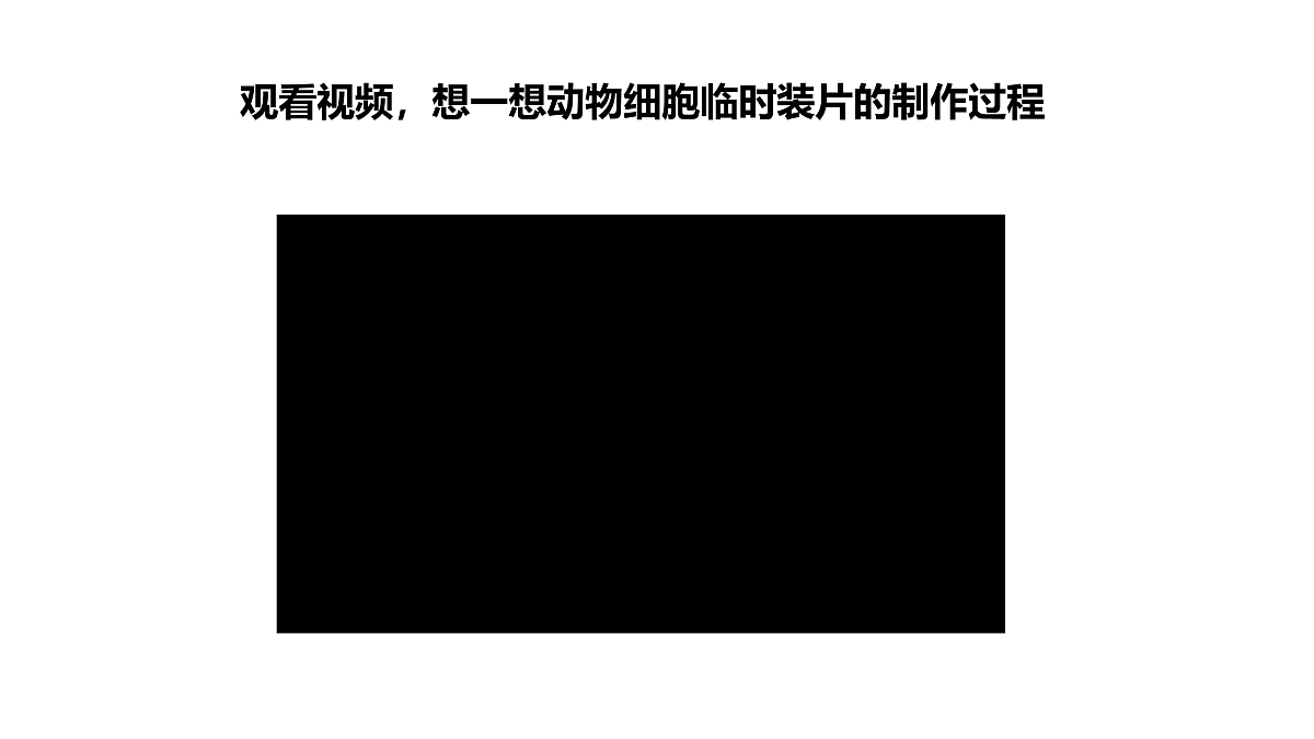 17397696第5页