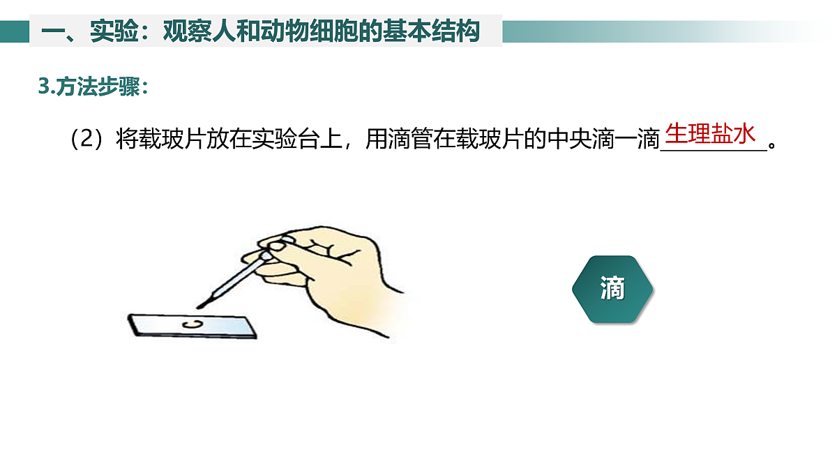17397696第8页