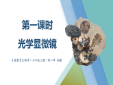 2024-2025学年北师大版生物七年级上册2.2.1 细胞的基本结构和功能（第1课时）-课件
