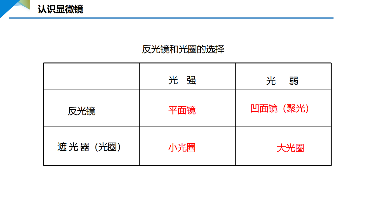 17397697第6页