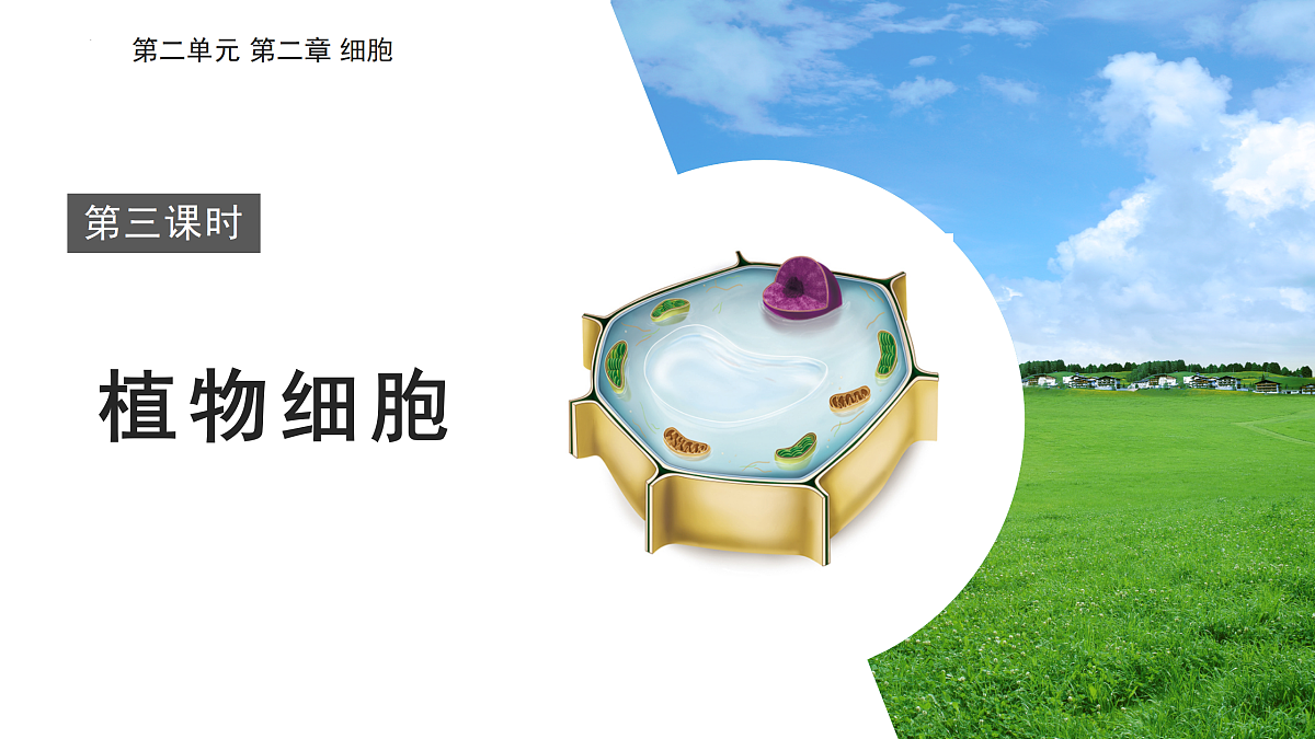17397698第1页