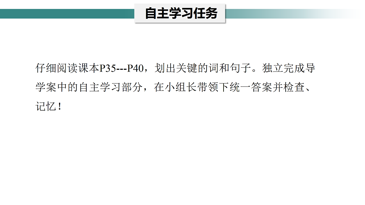 17397698第4页