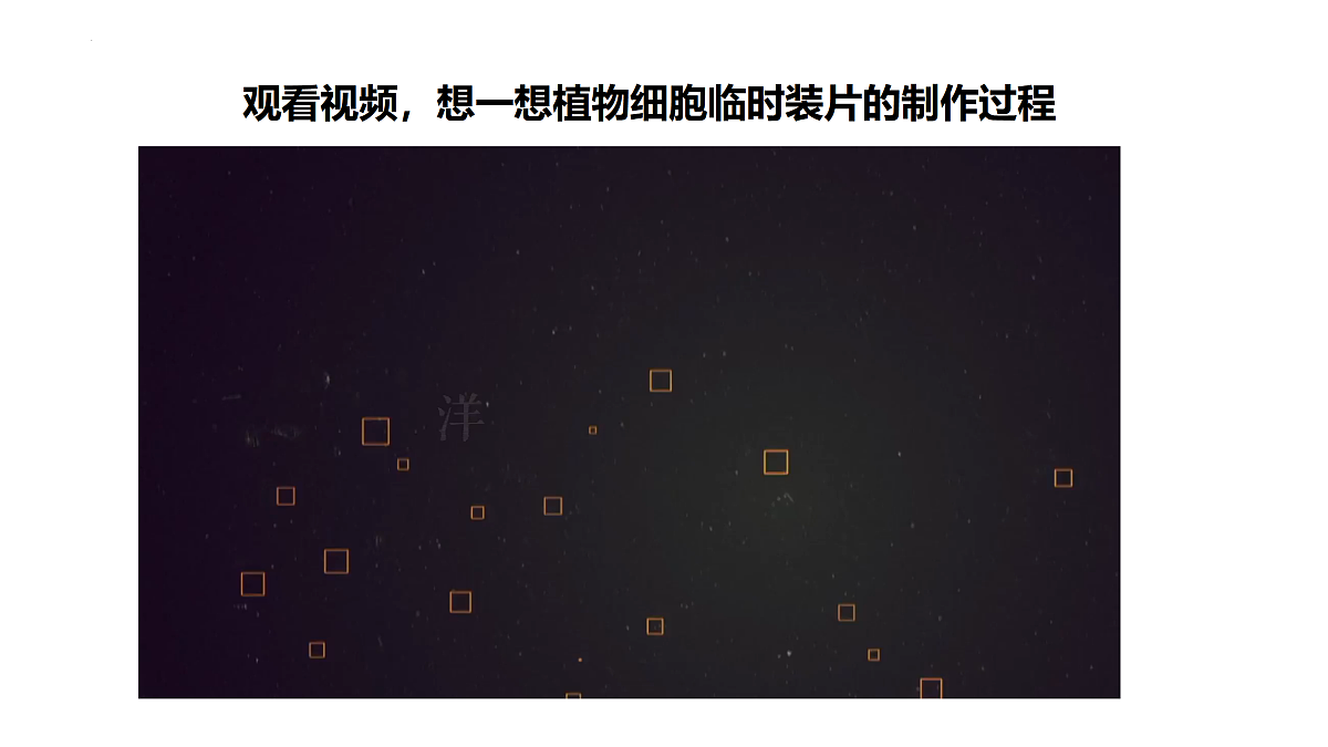 17397698第5页