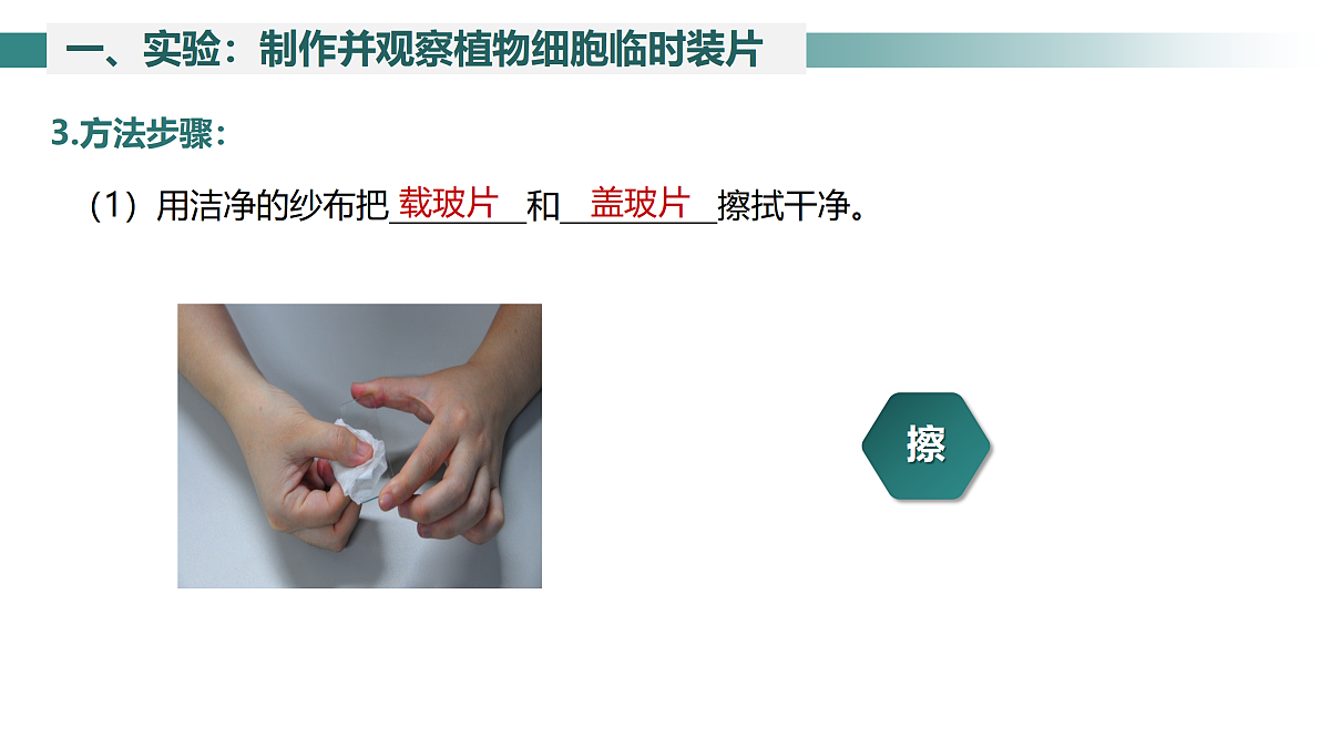 17397698第7页