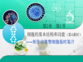2024-2025学年北师大版生物七年级上册2.2.1细胞的基本结构和功能（第4课时）-课件