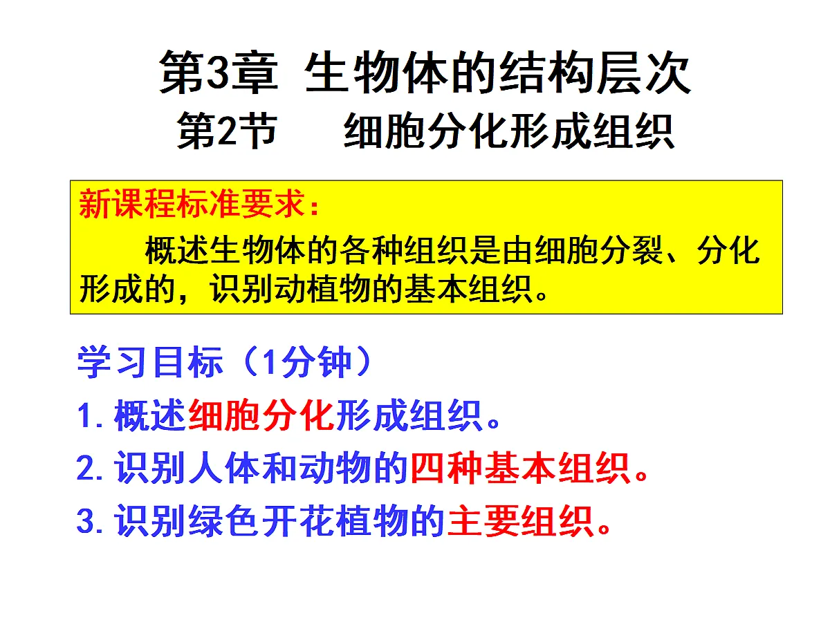 17397700第1页