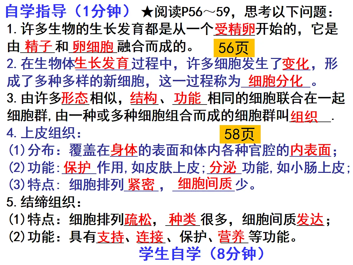17397700第2页