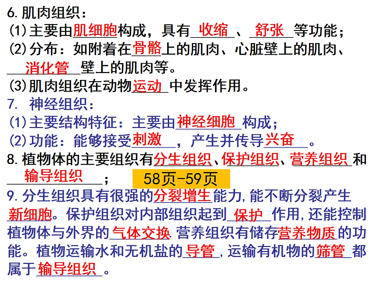 17397700第3页