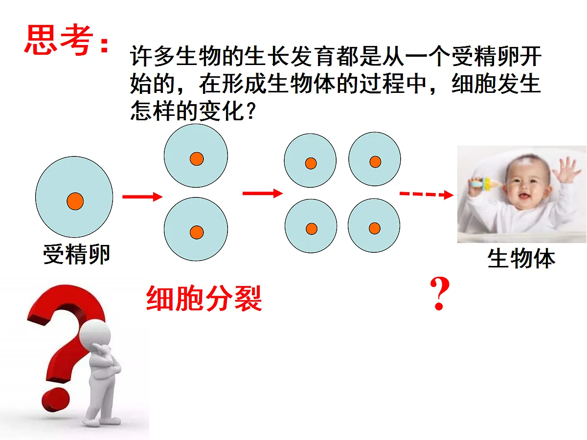 17397700第4页