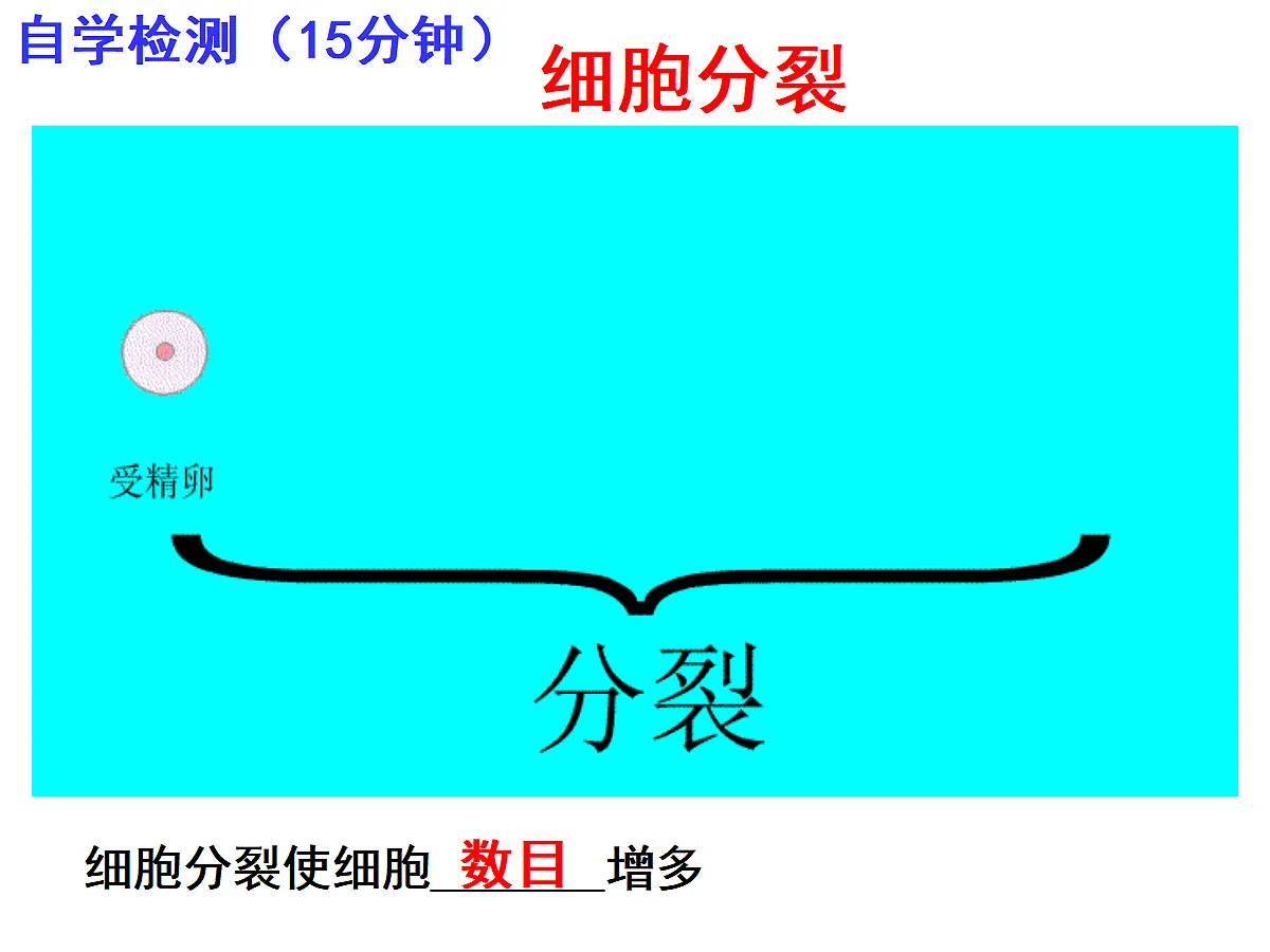 17397700第5页