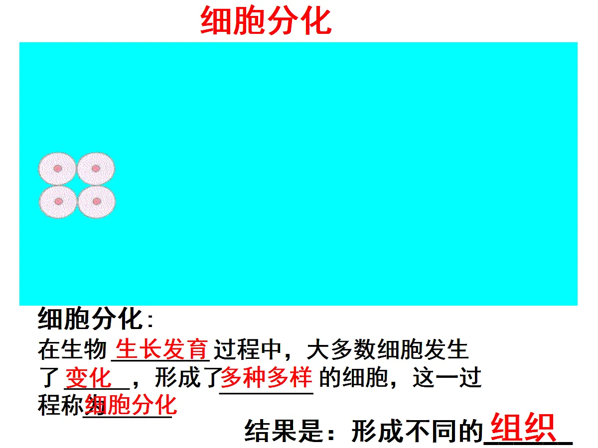 17397700第6页