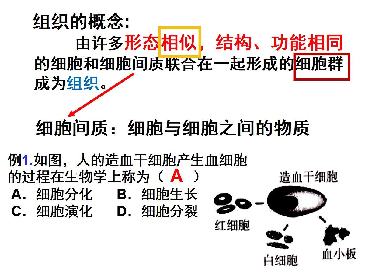 17397700第7页