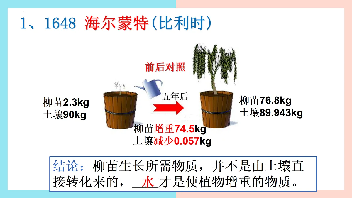 17397701第5页