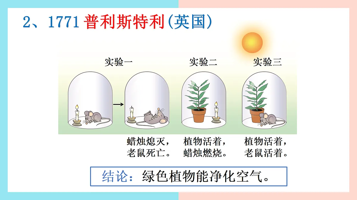 17397701第8页