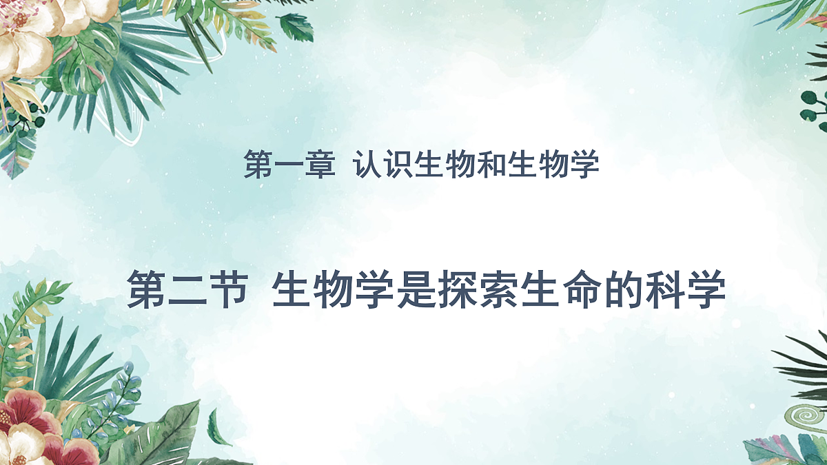 17397720第1页