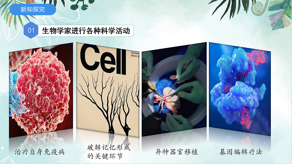 17397720第5页
