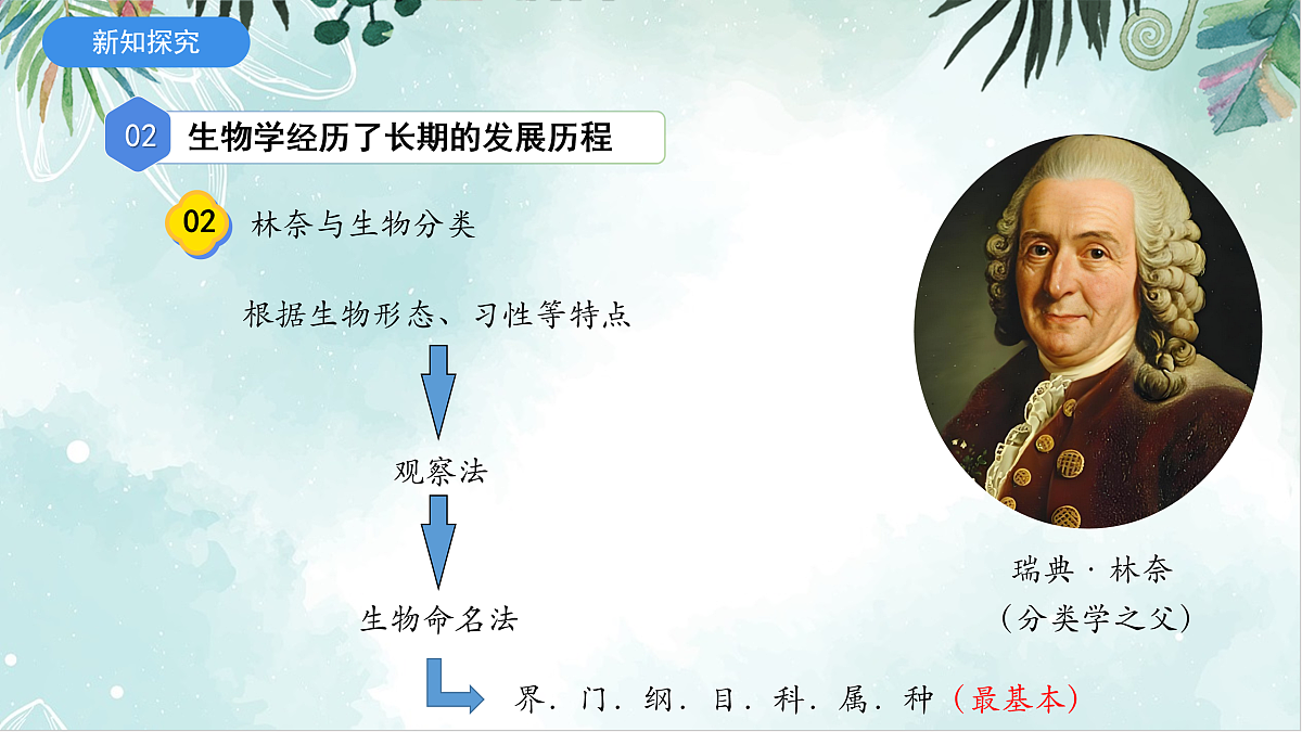 17397720第7页
