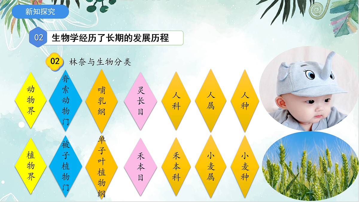 17397720第8页