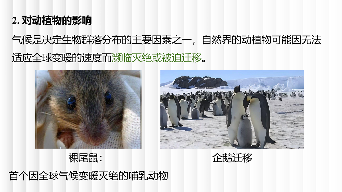 17398005第7页