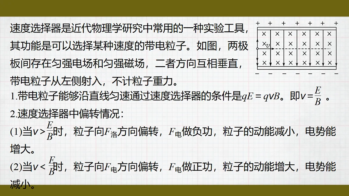 17398029第8页