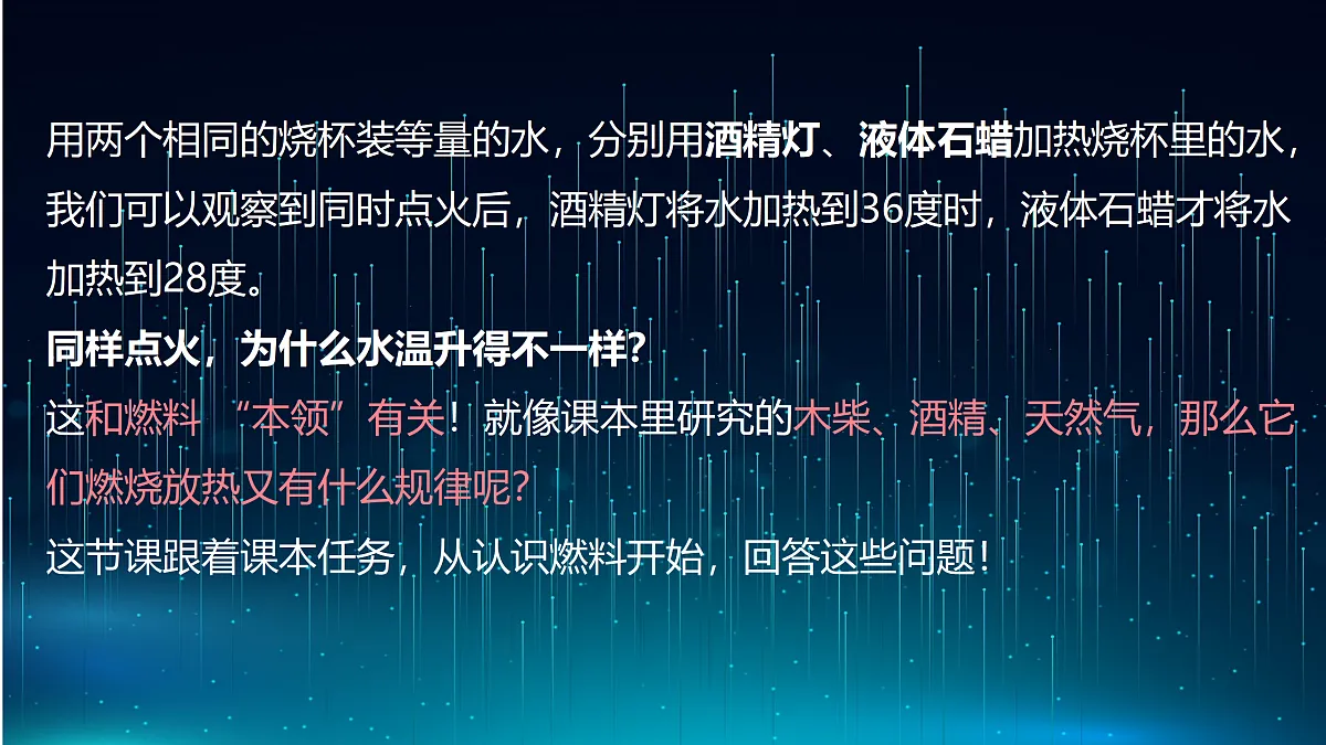17398049第4页