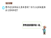 曹冲称象的故事（课件）-2025-2026学年度苏教版数学三年级上册