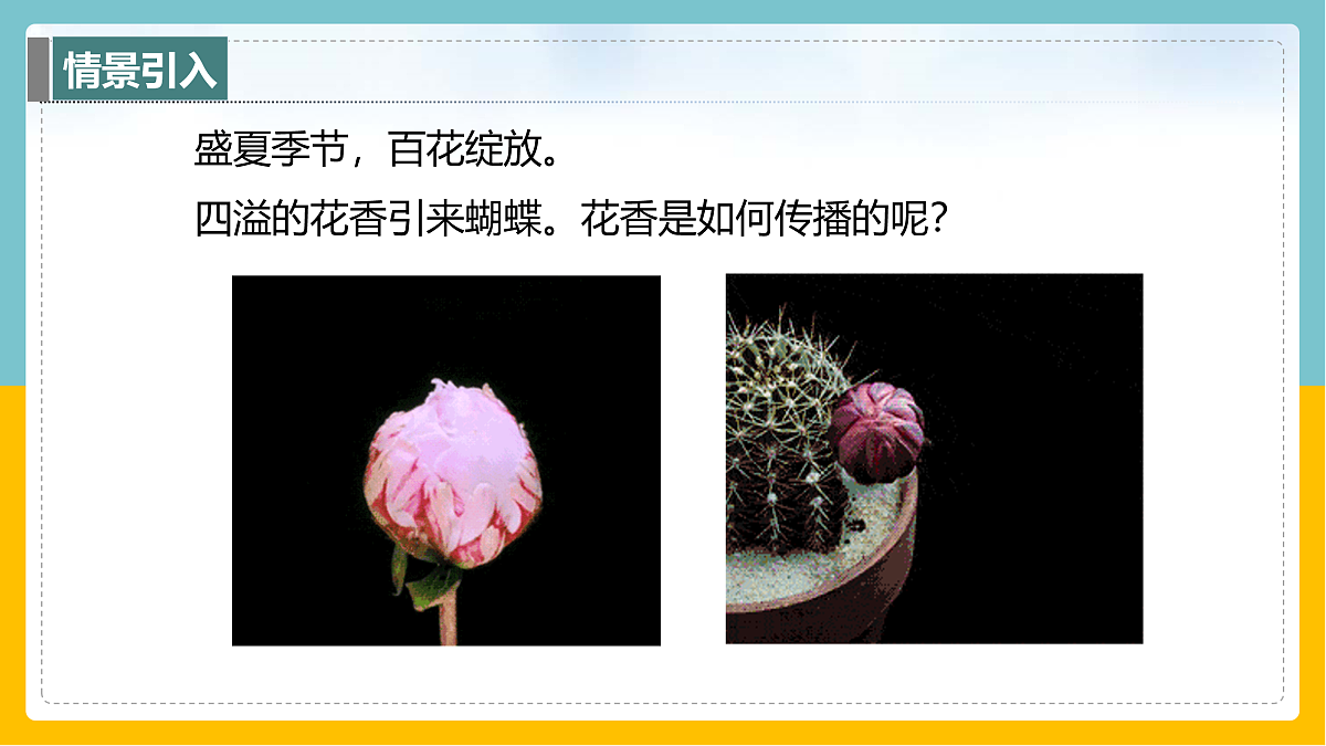 17398122第3页