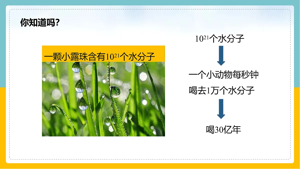 17398122第8页