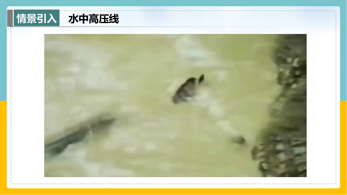 17398223第3页