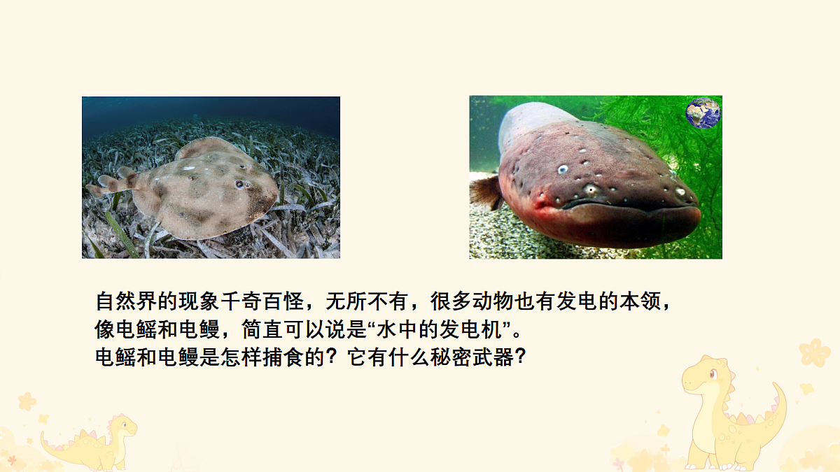 17398233第2页
