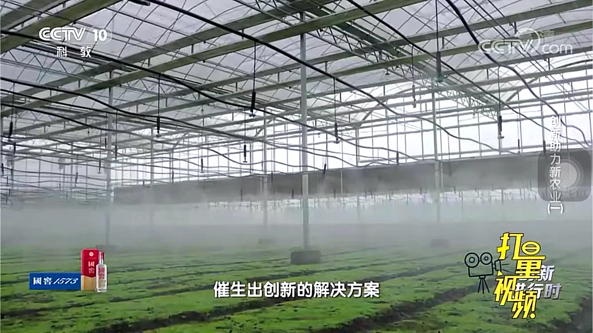 17398322第3页
