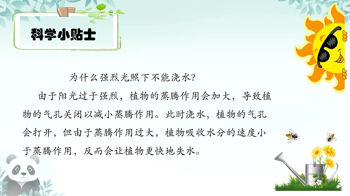17398323第7页