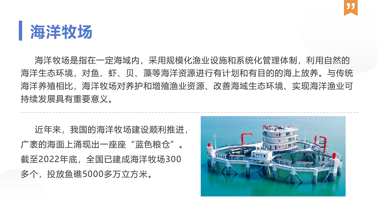 17398598第7页