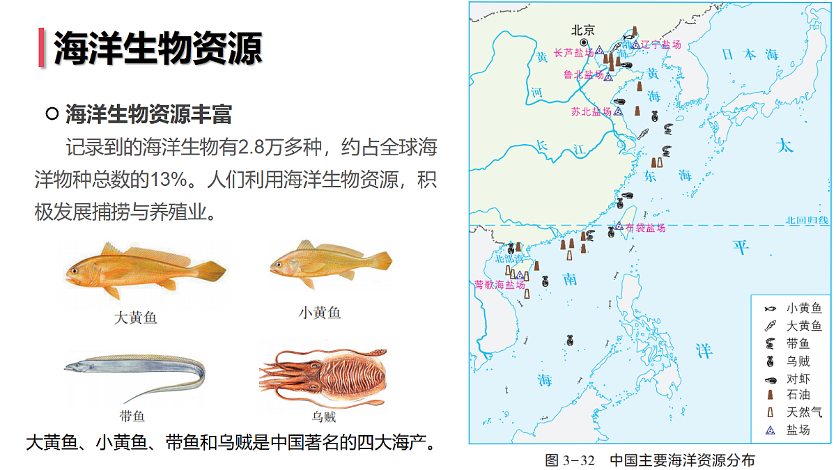 17398598第8页