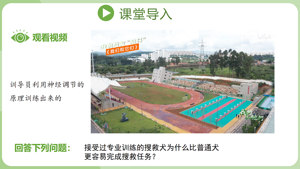 17398602第5页