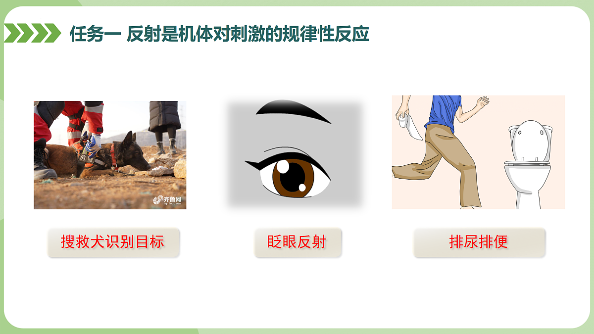 17398602第8页
