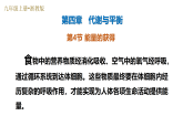 第4节 能量的获得（培优教学课件）-2025-2026学年九年级科学上册（浙教版）