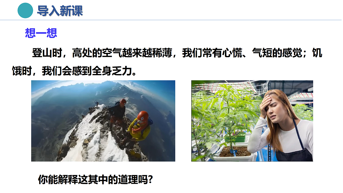 17398612第3页