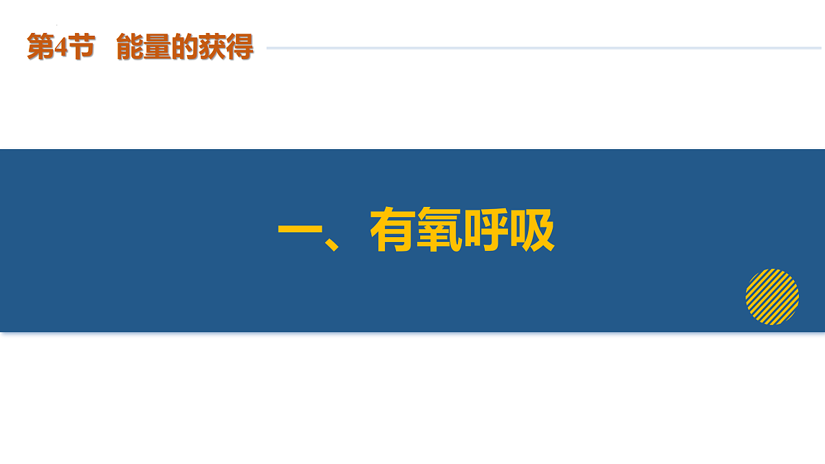17398612第7页
